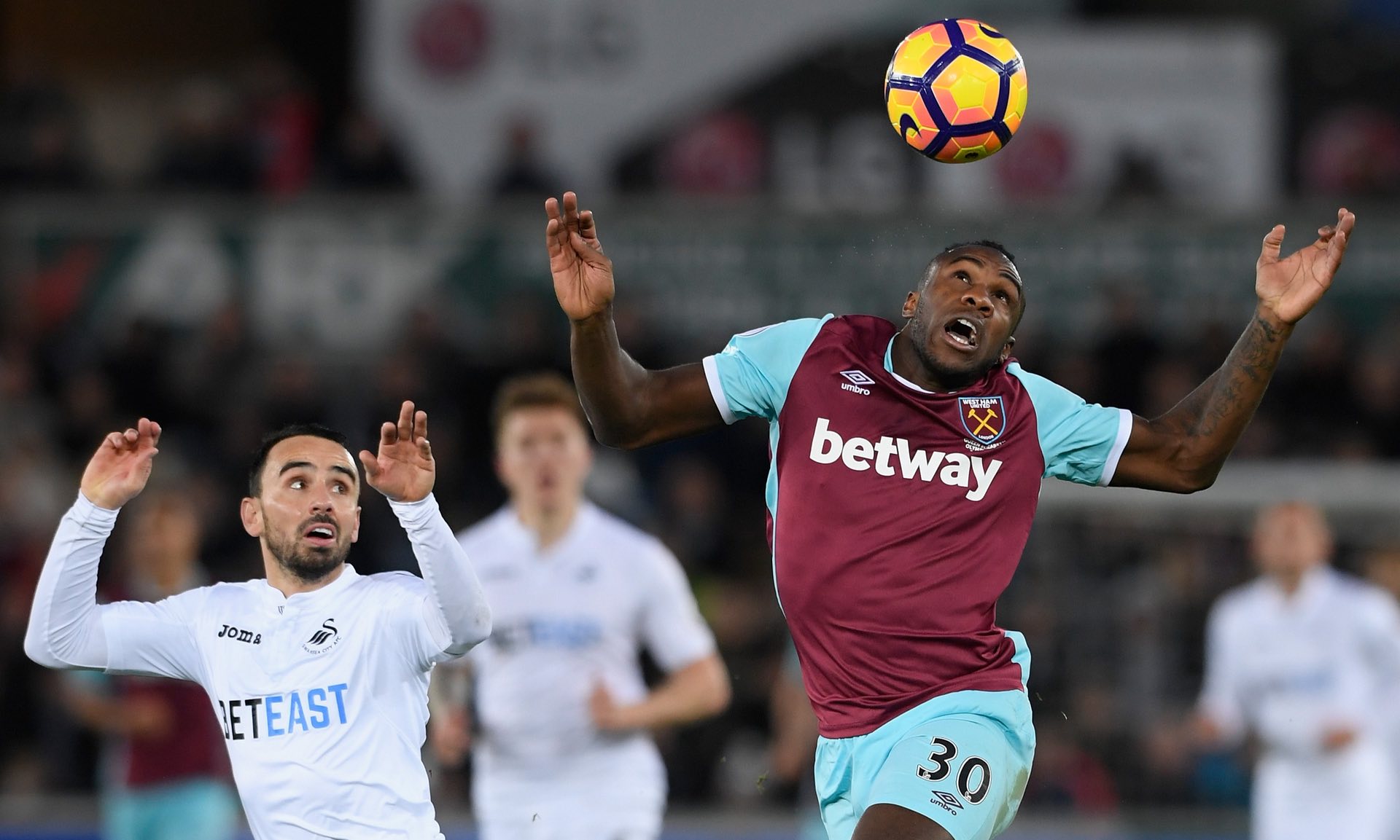 热情支持和 热情支持和